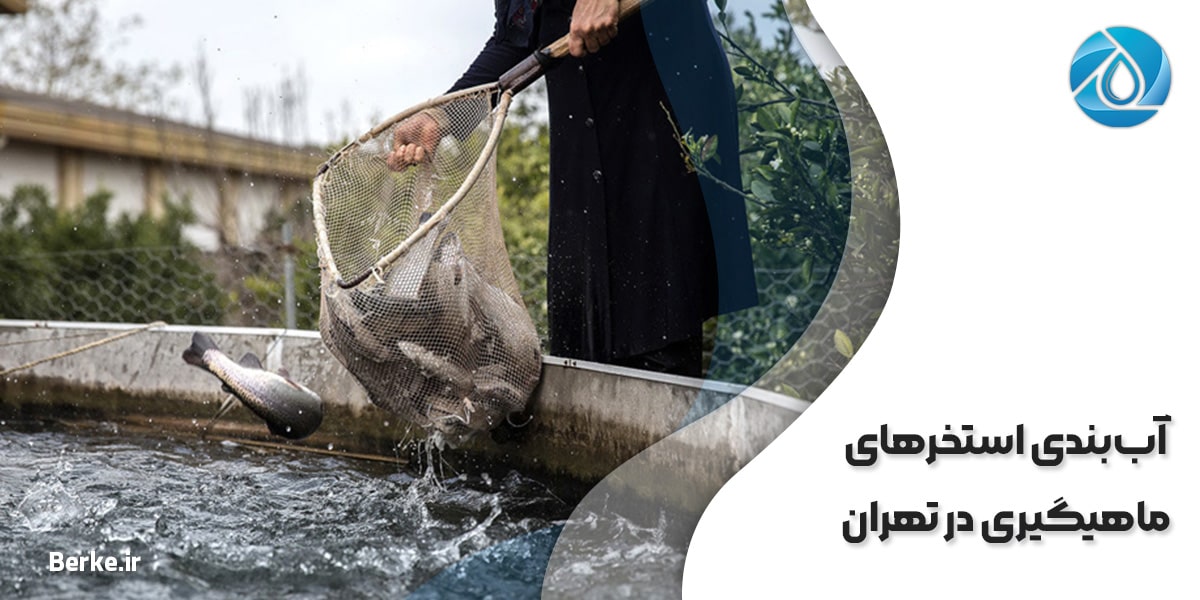 آب‌بندی استخرهای ماهیگیری در تهران