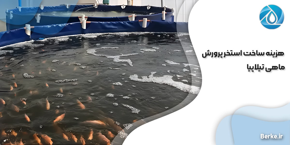 هزینه ساخت استخر پرورش ماهی تیلاپیا