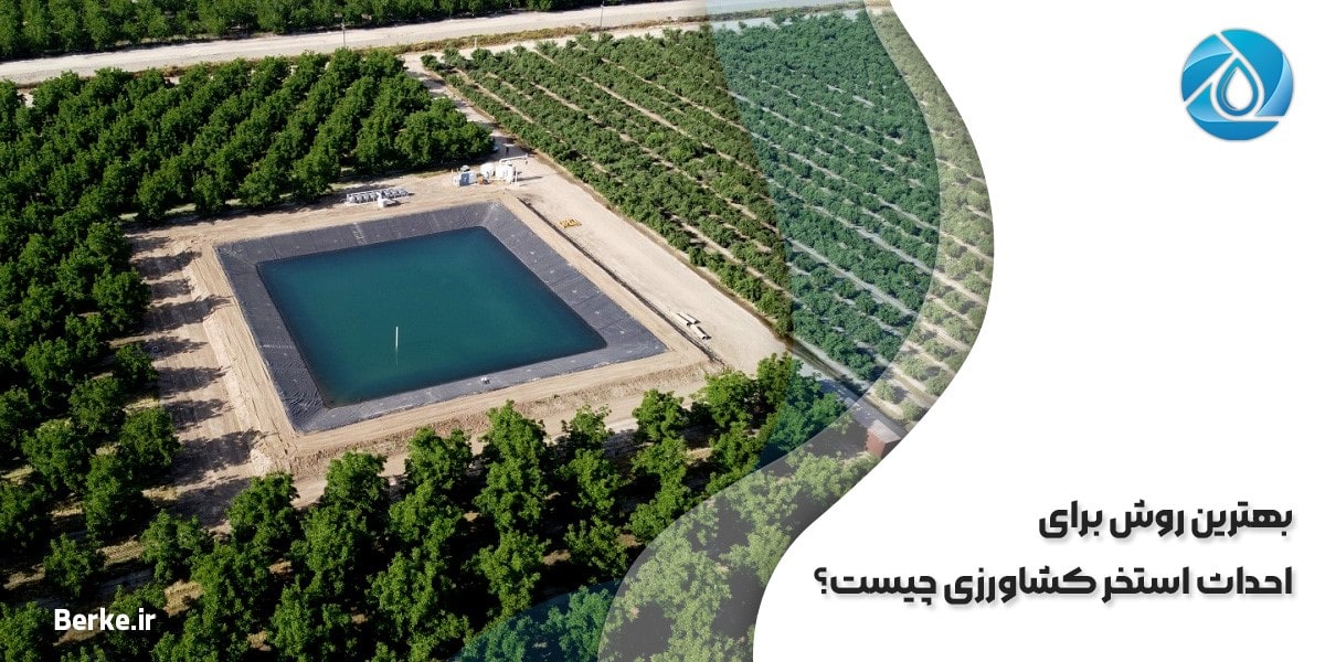 An image of an agricultural pool in the middle of the garden min - 1