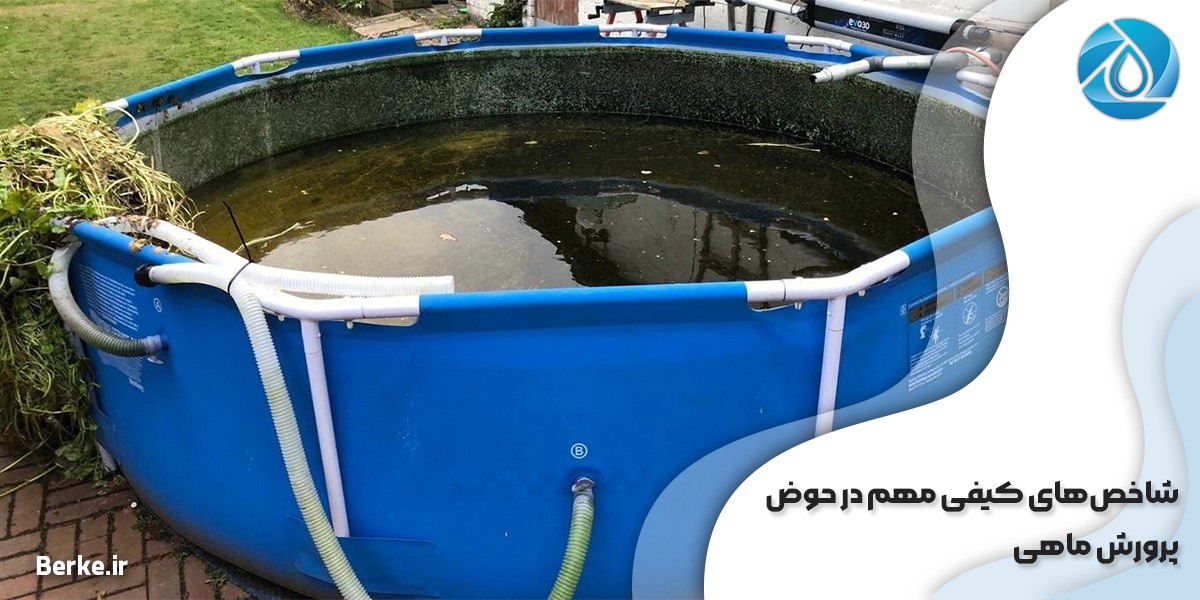 شاخص‌ های کیفی مهم در حوض پرورش ماهی